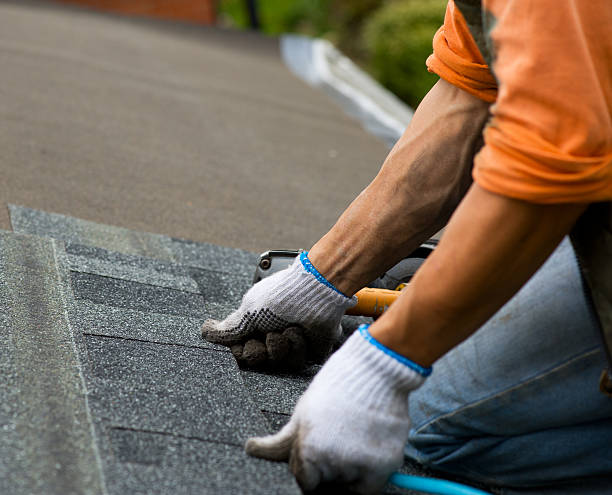 Best Gutter Installation and Roofing  in Ashland, CA